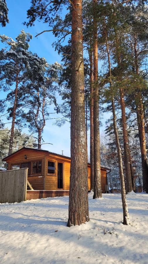 Vila Polwysep Lipa Wdzydze Tucholskie Exteriér fotografie