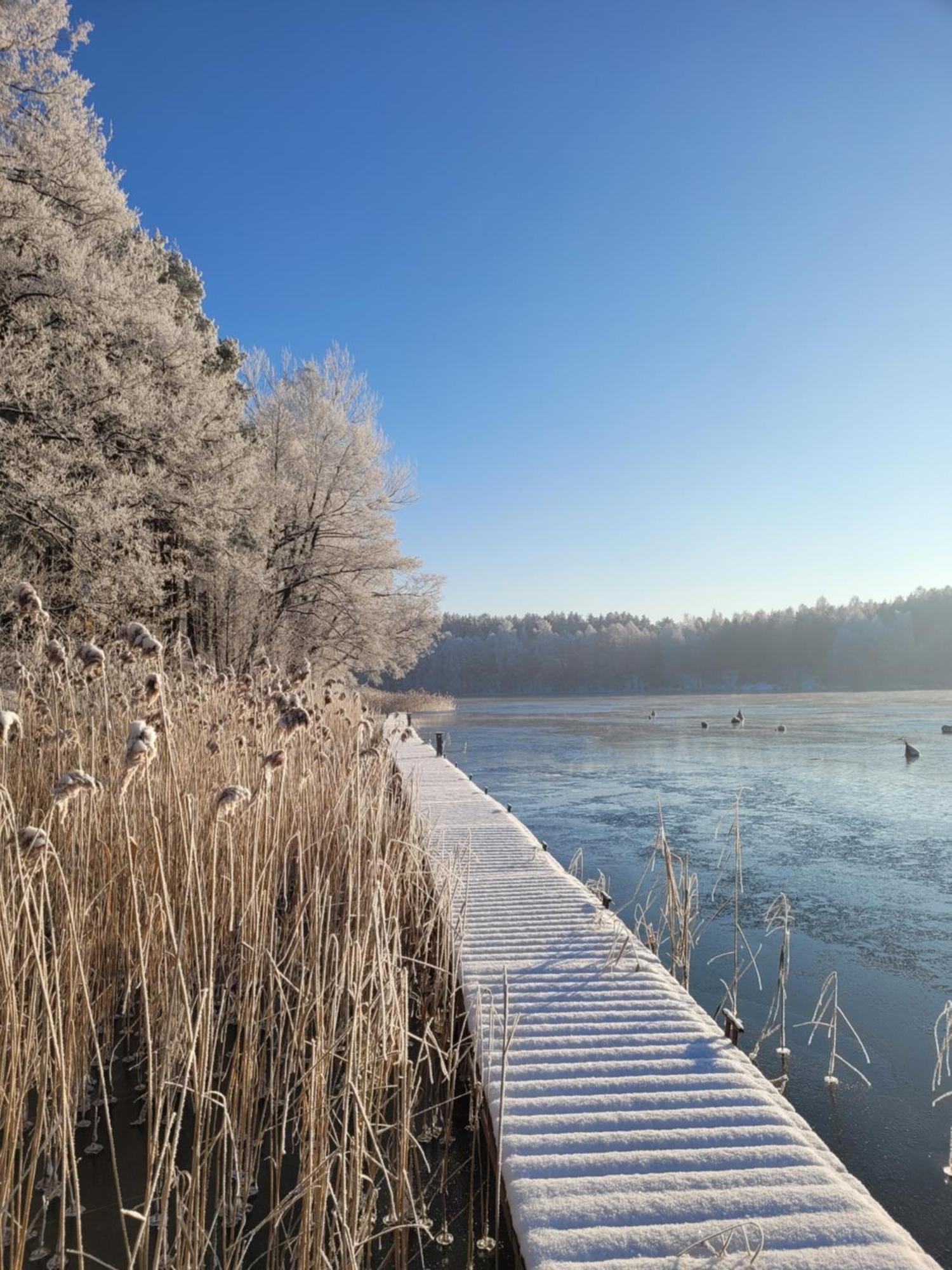 Vila Polwysep Lipa Wdzydze Tucholskie Exteriér fotografie