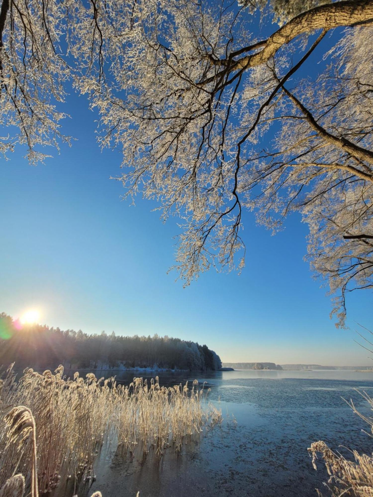 Vila Polwysep Lipa Wdzydze Tucholskie Exteriér fotografie