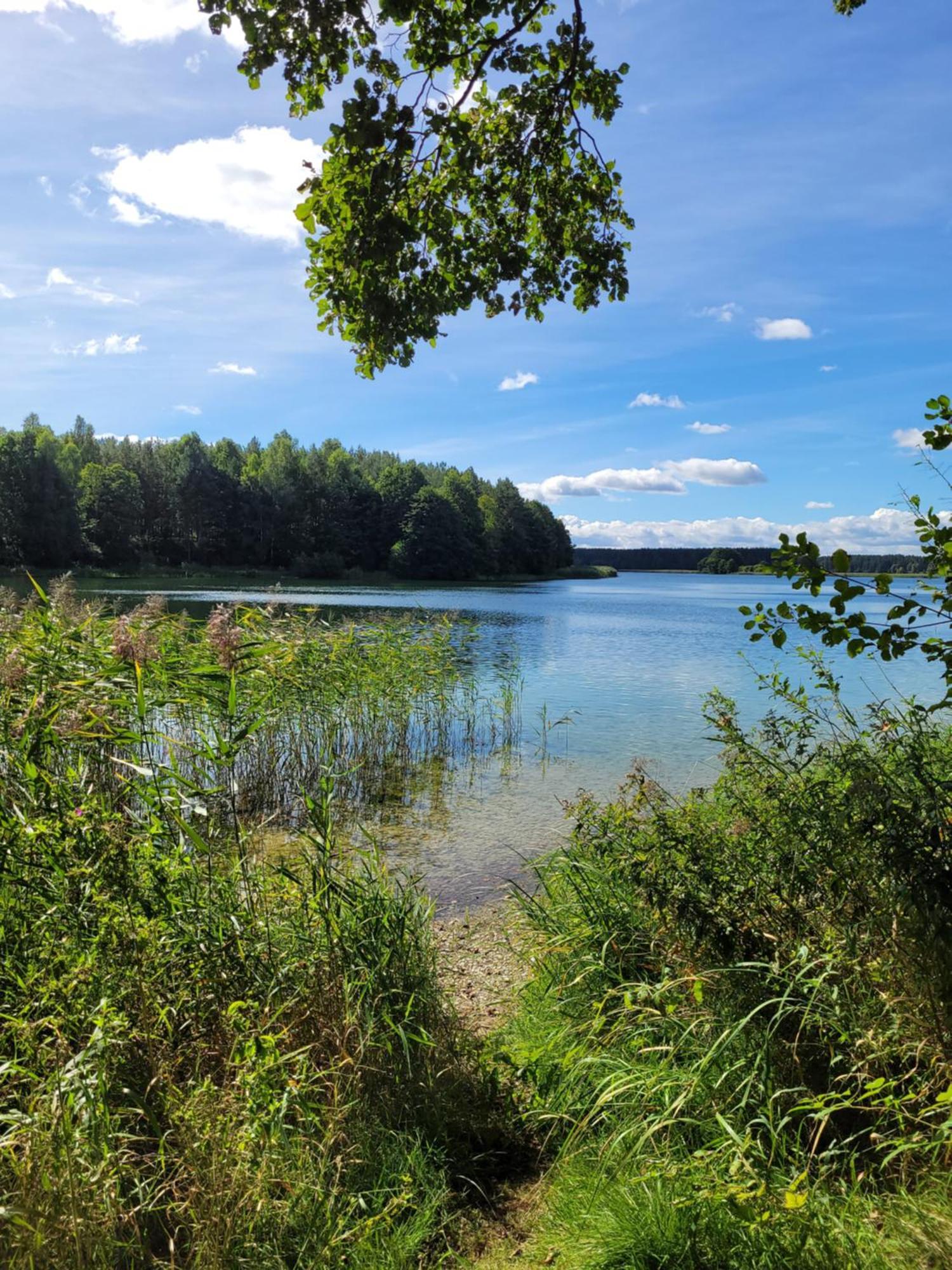 Vila Polwysep Lipa Wdzydze Tucholskie Exteriér fotografie