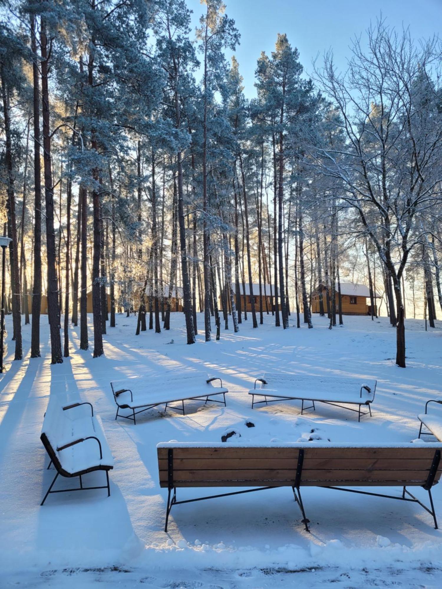Vila Polwysep Lipa Wdzydze Tucholskie Exteriér fotografie