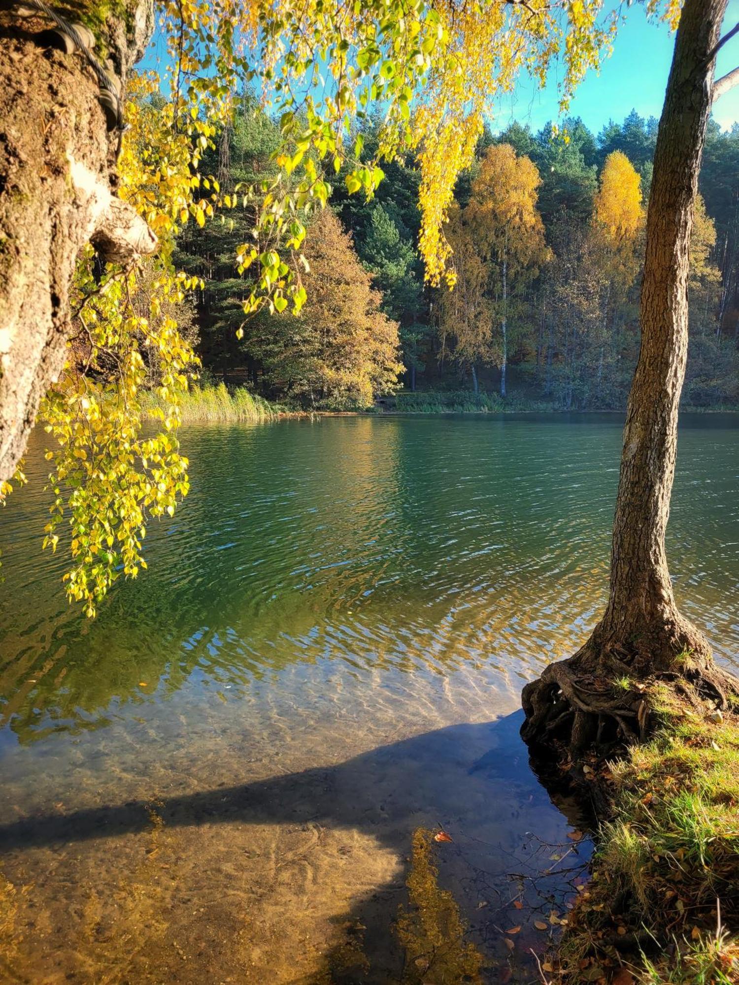 Vila Polwysep Lipa Wdzydze Tucholskie Exteriér fotografie