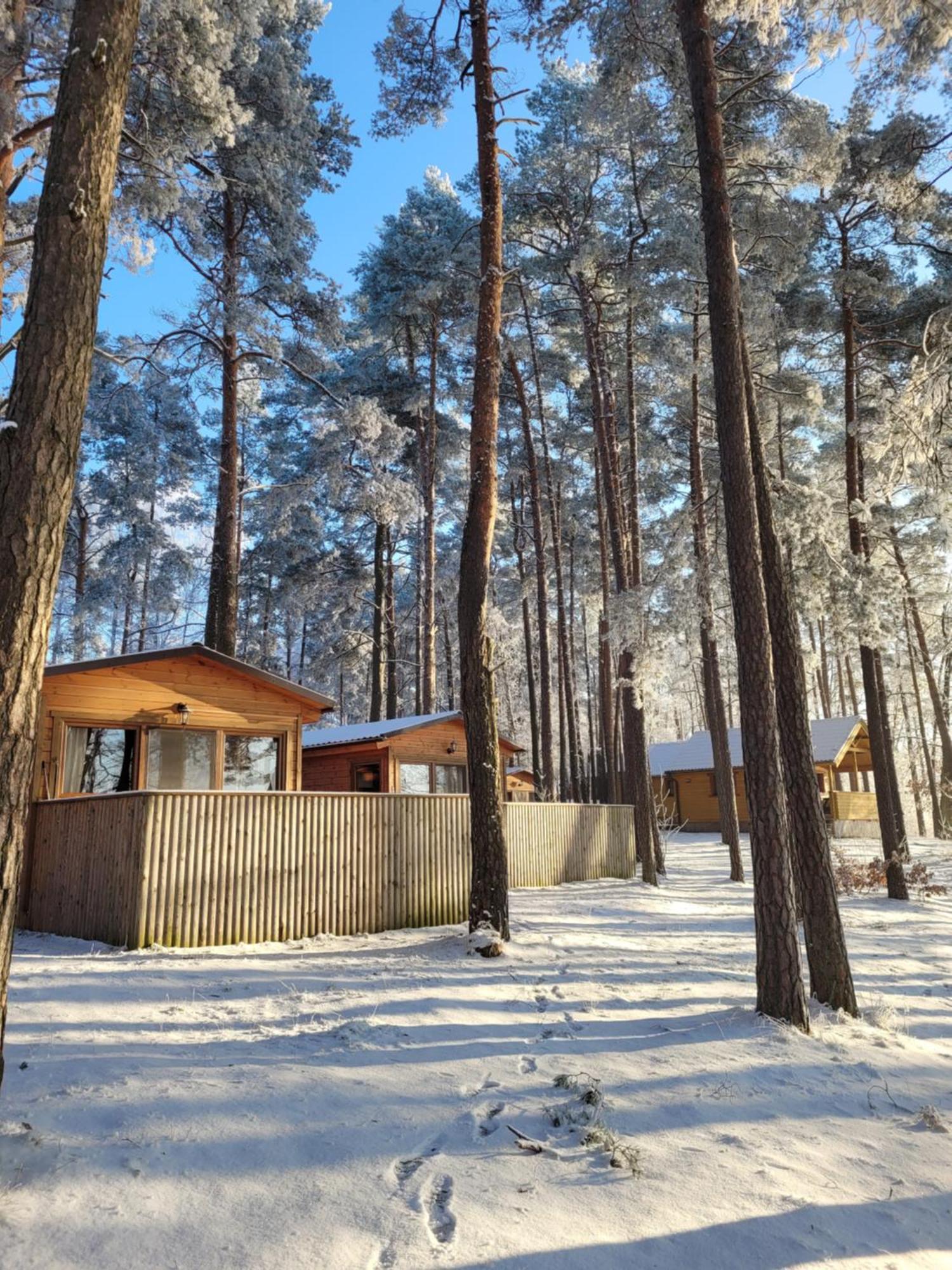 Vila Polwysep Lipa Wdzydze Tucholskie Exteriér fotografie