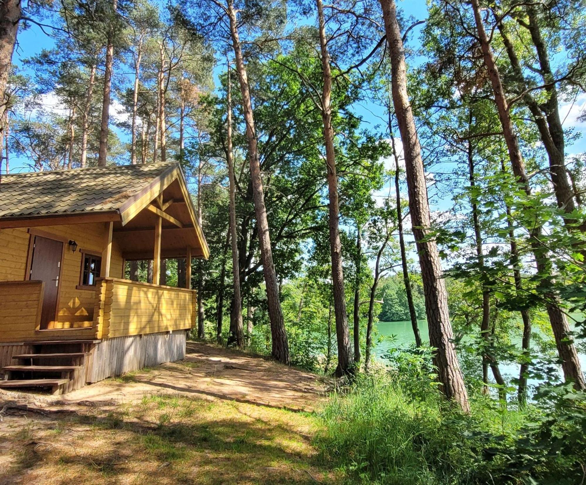 Vila Polwysep Lipa Wdzydze Tucholskie Exteriér fotografie
