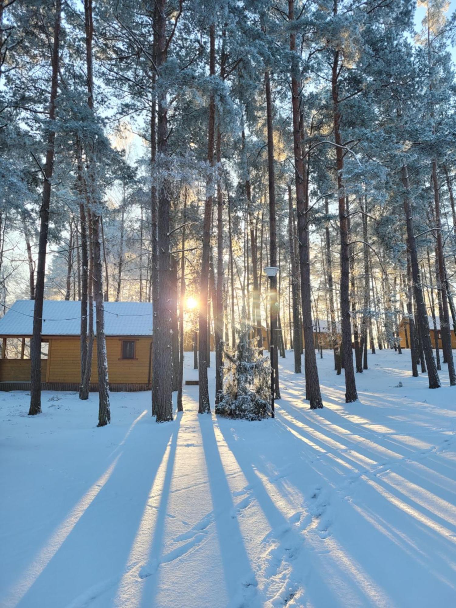 Vila Polwysep Lipa Wdzydze Tucholskie Exteriér fotografie