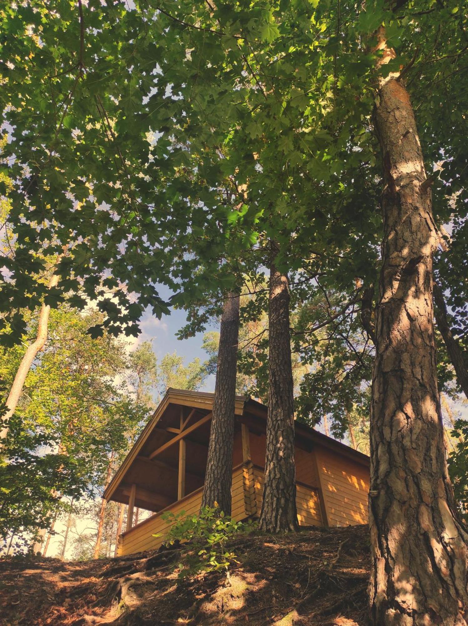 Vila Polwysep Lipa Wdzydze Tucholskie Exteriér fotografie