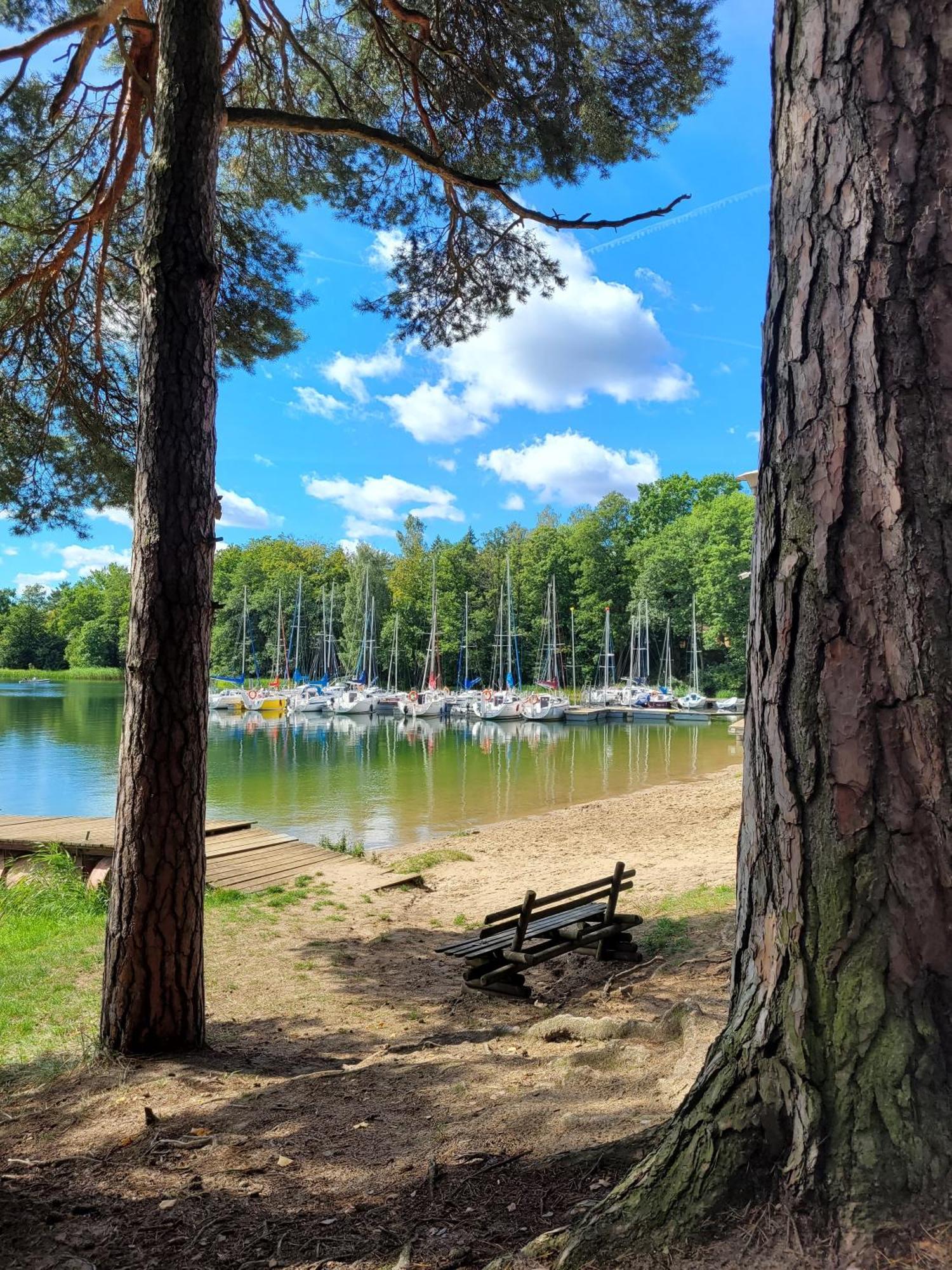 Vila Polwysep Lipa Wdzydze Tucholskie Exteriér fotografie