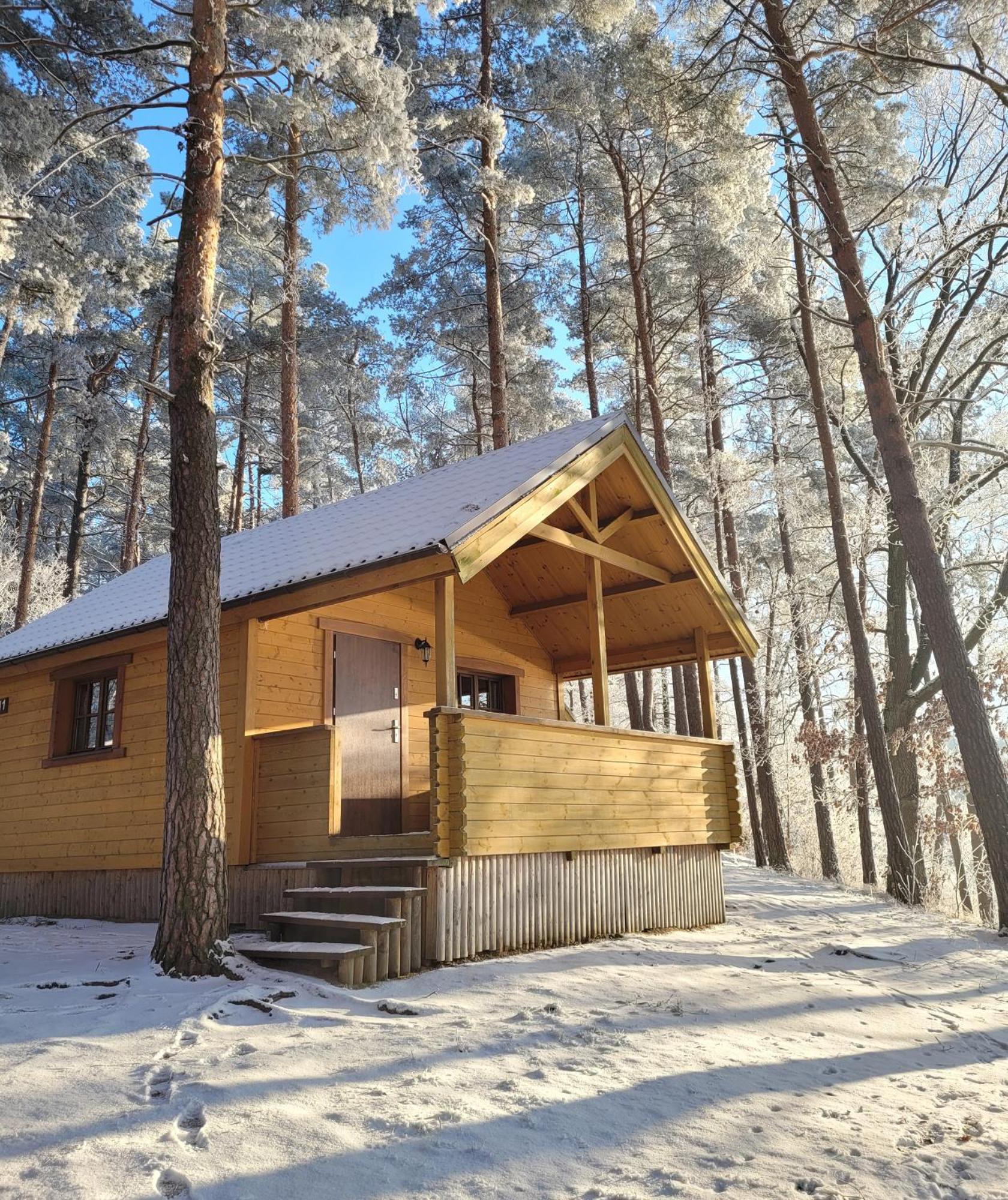 Vila Polwysep Lipa Wdzydze Tucholskie Exteriér fotografie