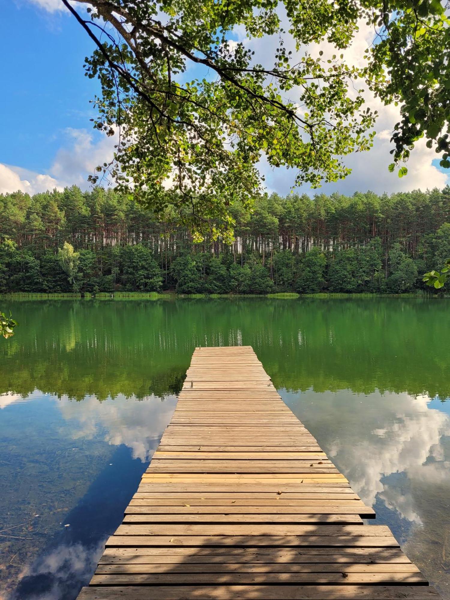 Vila Polwysep Lipa Wdzydze Tucholskie Exteriér fotografie