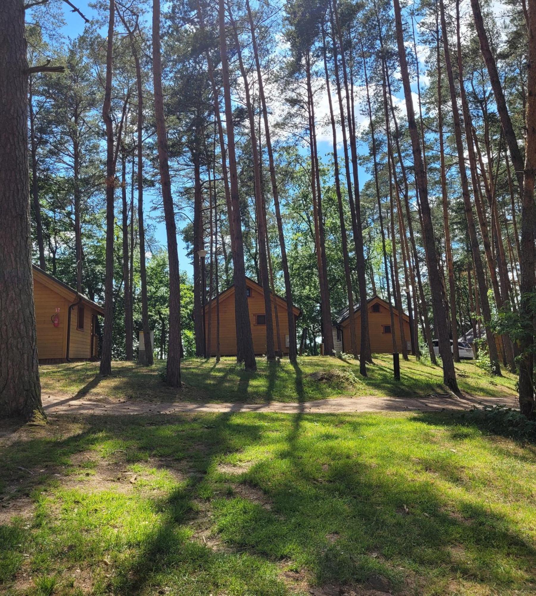 Vila Polwysep Lipa Wdzydze Tucholskie Exteriér fotografie