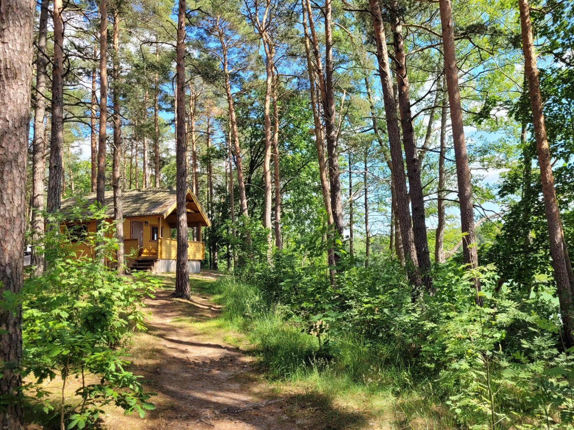 Vila Polwysep Lipa Wdzydze Tucholskie Exteriér fotografie